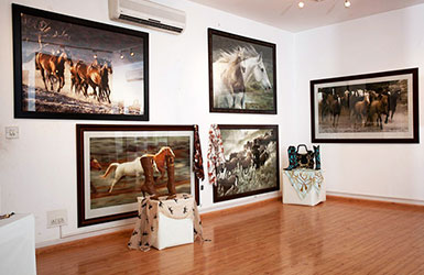 Equine Showcase In Banglaore