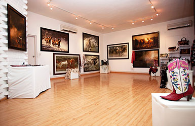 Equine Showcase In Banglaore