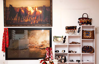 Equine Showcase In Banglaore