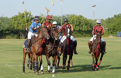 Jodhpur 2014