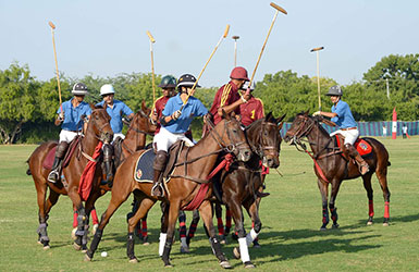 Jodhpur 2014