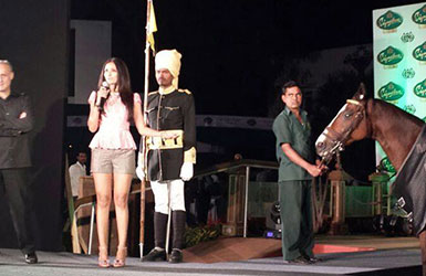 Mcdowell  Signature Indian Derby - Mumbai
