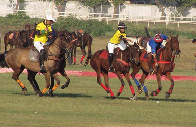 Rinaldi 4 Gola 2014 - Mumbai