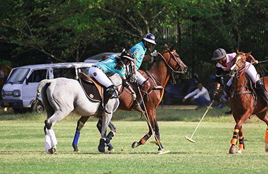 Rinaldi Polo Cup