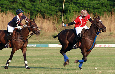 Rinaldi Polo Cup