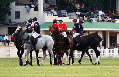 Rinaldi Polo Cup
