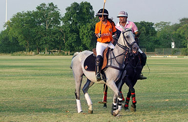Rinaldi Polo Cup