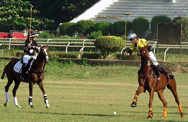 Rinaldi Polo Team 2015
