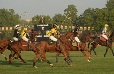 umaid bhavan 2014