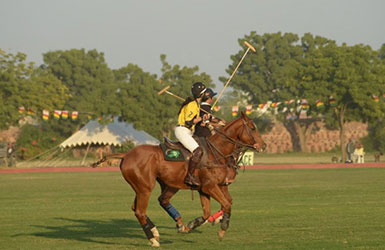 umaid bhavan 2014
