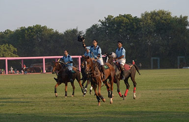 umaid bhavan 2015